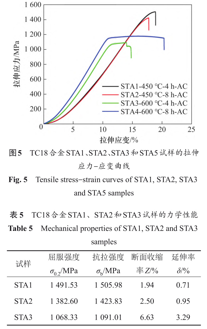 5-b5.jpg